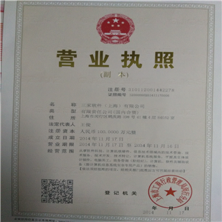 探索三家軟件上海 上海軟件代理與開(kāi)發(fā)的領(lǐng)航者