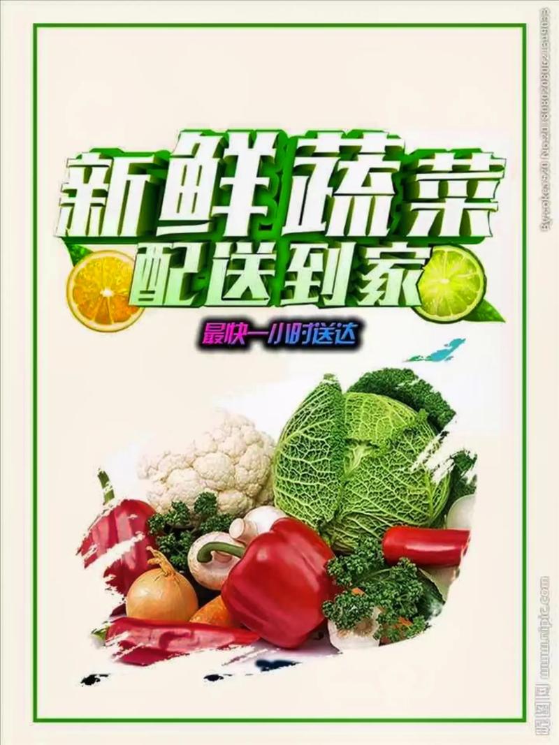 專業(yè)蔬菜批發(fā)配送服務(wù) 為工廠、學(xué)校、醫(yī)院食堂提供新鮮保障