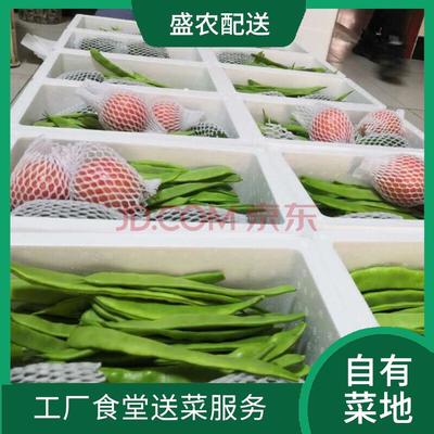 東莞蔬菜配送服務(wù) 新鮮蔬菜批發(fā)的專(zhuān)業(yè)之選