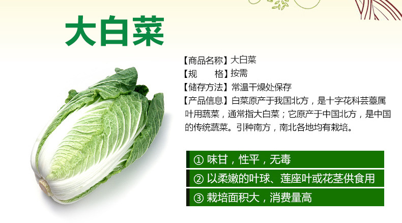 怡佳美果蔬 綠色健康，批發(fā)無(wú)憂(yōu)——無(wú)公害大白菜的優(yōu)選之道