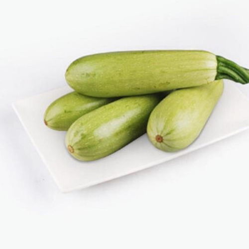 品味山東當(dāng)季鮮蔬 新鮮西葫蘆，農(nóng)家自種的自然饋贈(zèng)